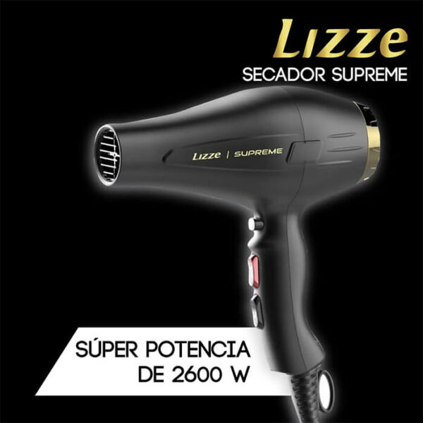 Lizze supreme Professional Hair Dryers 2600W 3